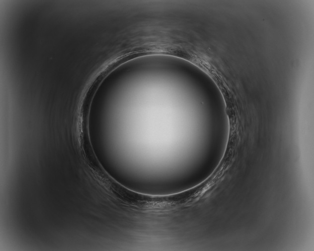 X0000088610342200705251225