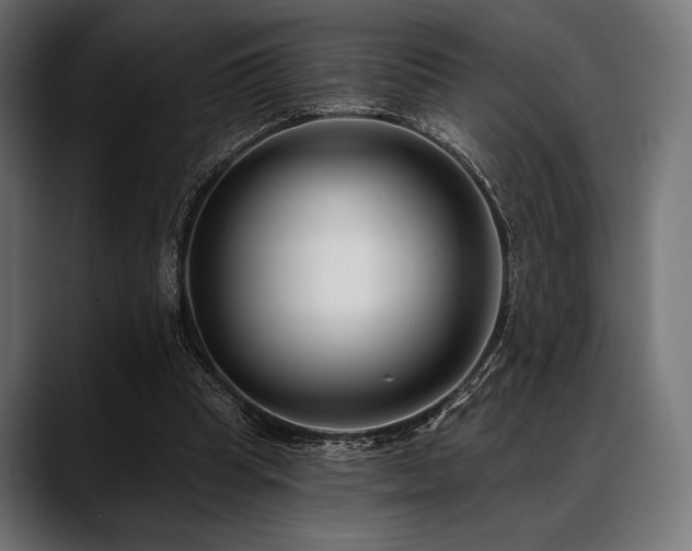 X0000088610345200705251225