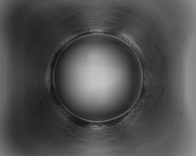 X0000088610346200705251225