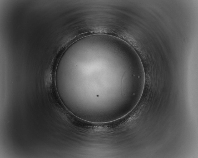 X0000088610347200705251225