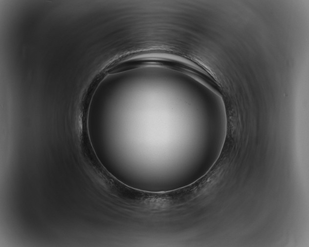 X0000088610350200705251225