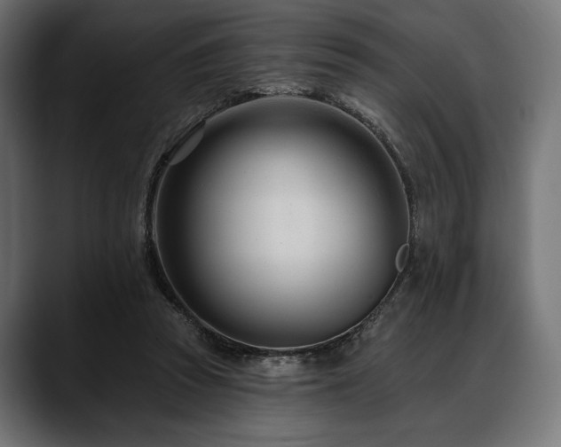 X0000088610353200705251225