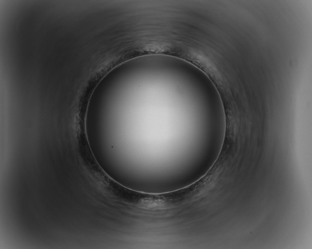 X0000088610354200705251225