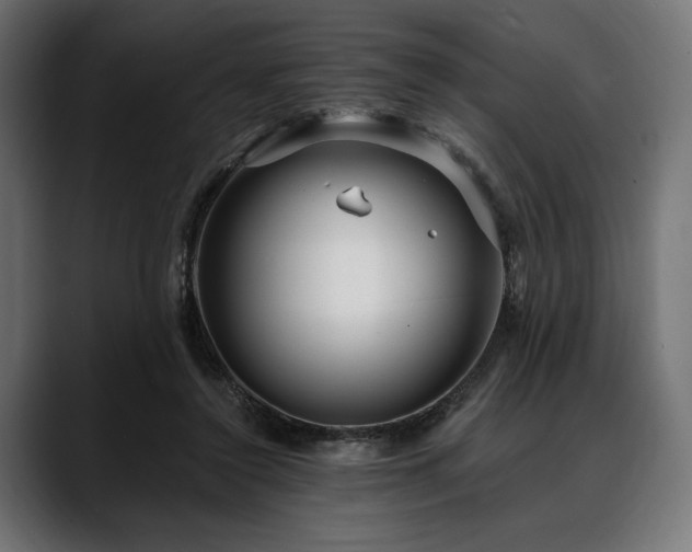 X0000088610356200705251225