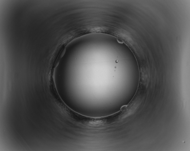 X0000088610357200705251225