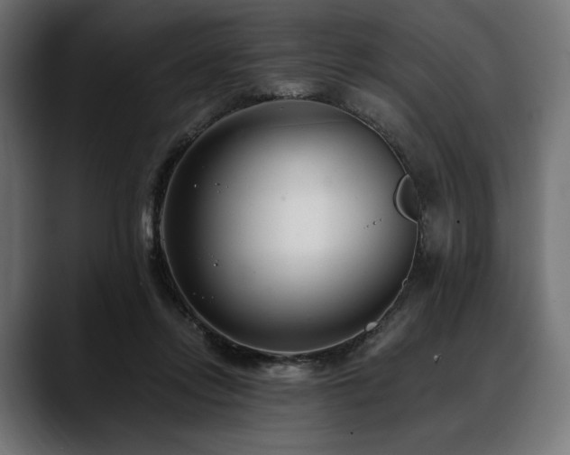 X0000088610358200705251225