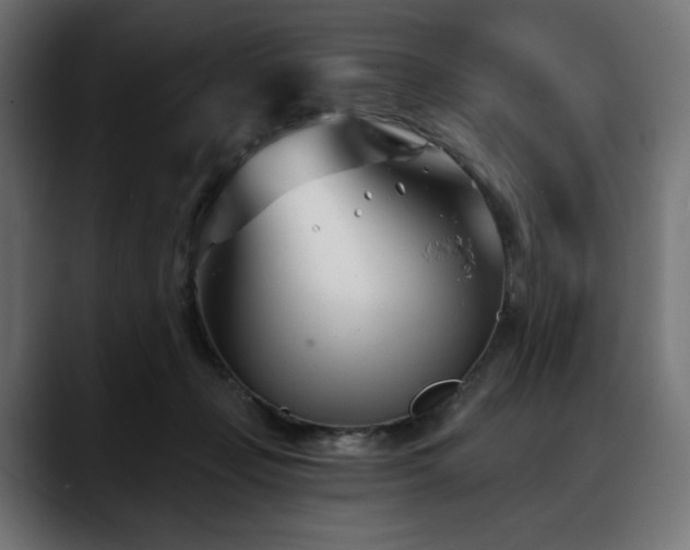 X0000088610365200705251225