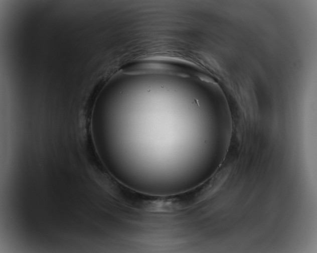 X0000088610366200705251225