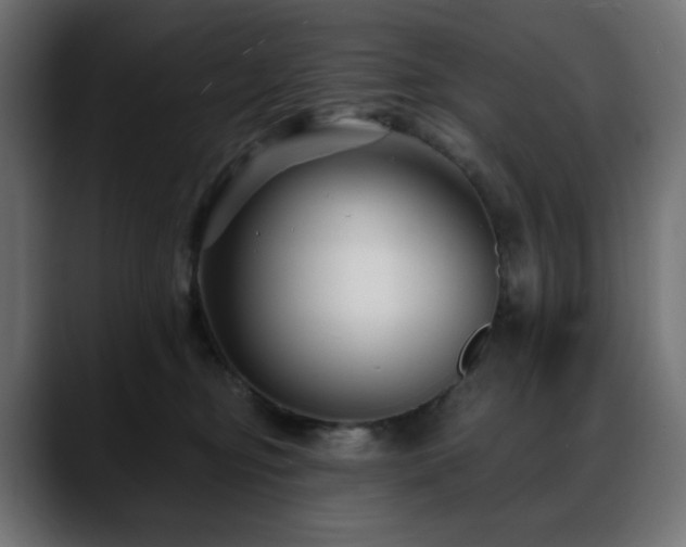 X0000088610374200705251225