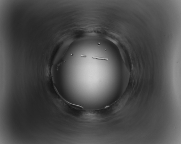 X0000088610380200705251226