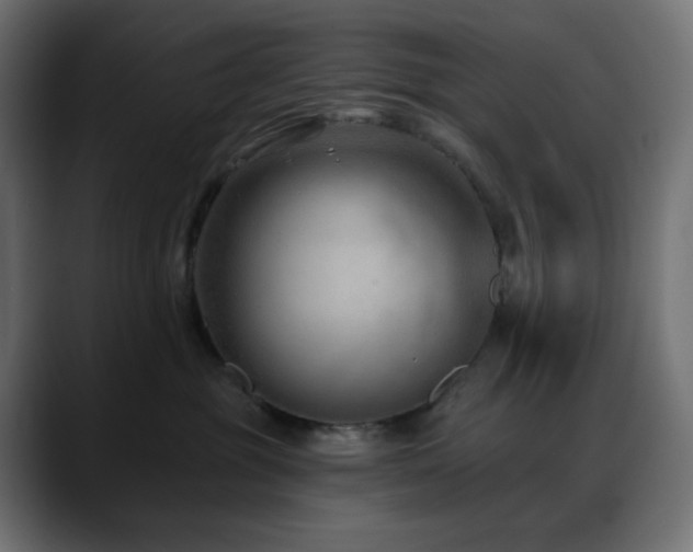 X0000088610381200705251226