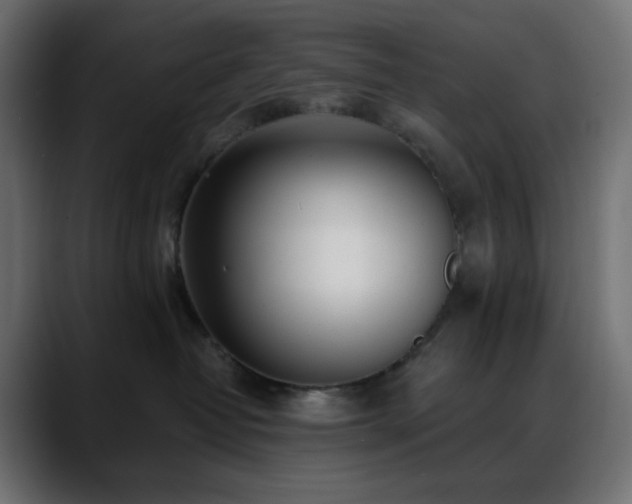 X0000088610382200705251226