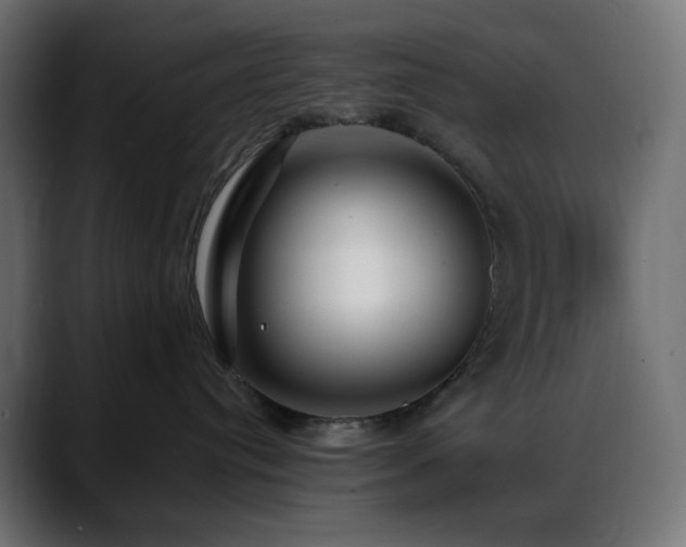 X0000088610384200705251226