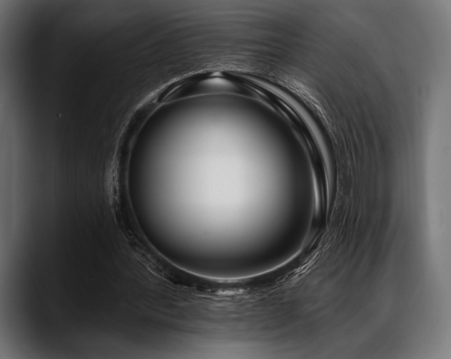 X0000088610388200705251225