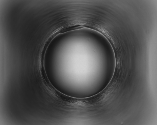 X0000088610390200705251225