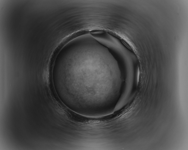 X0000088610391200705251225