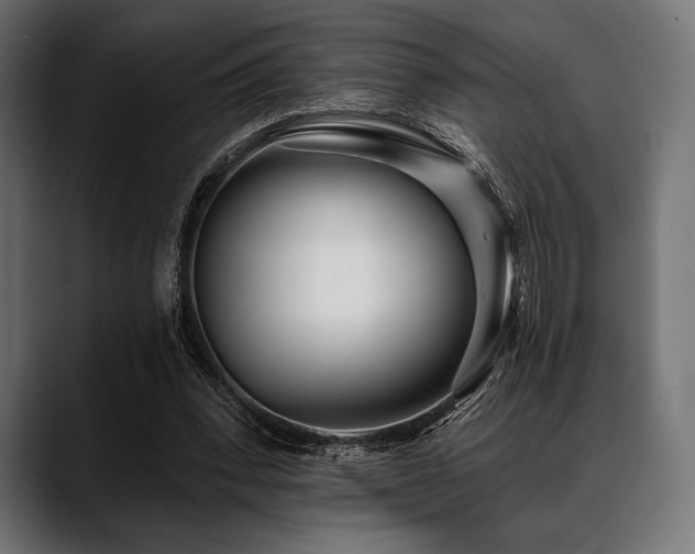 X0000088610392200705251225