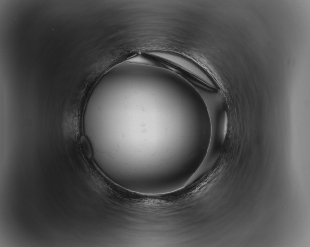 X0000088610393200705251225