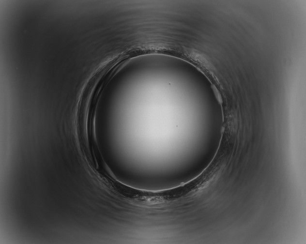 X0000088610395200705251225