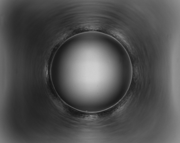 X0000088610398200705251225