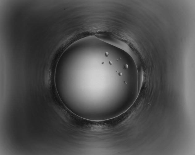 X0000088610400200705251225