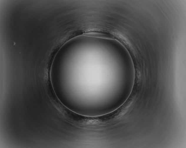 X0000088610401200705251225