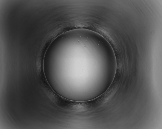 X0000088610402200705251225