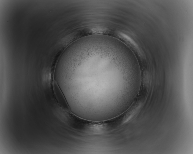 X0000088610405200705251225