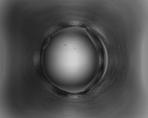 X0000088610407200705251225