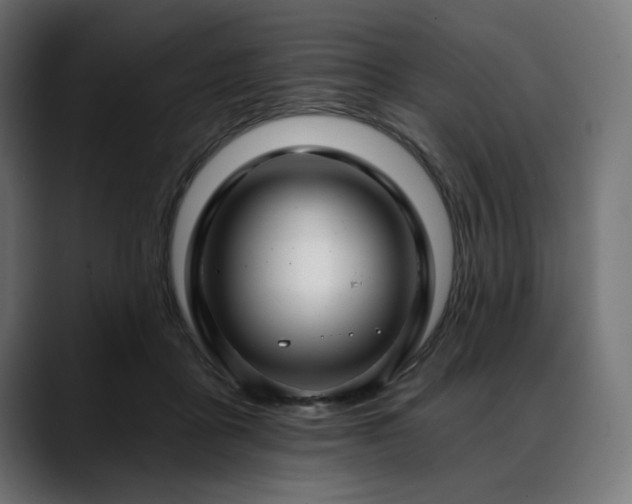 X0000088610411200705251225