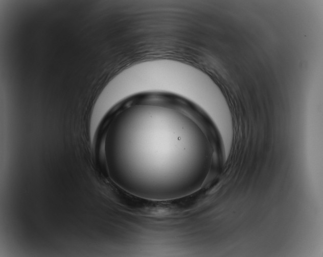 X0000088610412200705251225