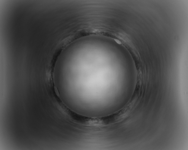 X0000088610415200705251225