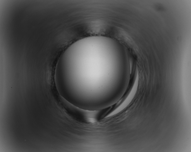 X0000088610416200705251225