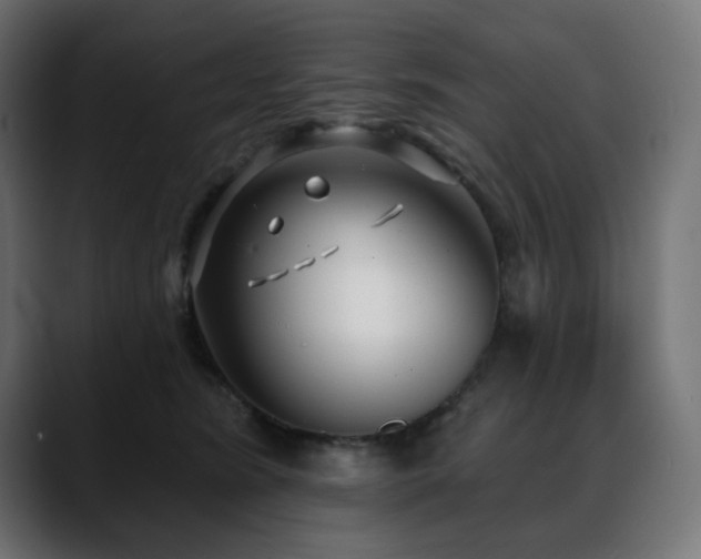 X0000088610420200705251225