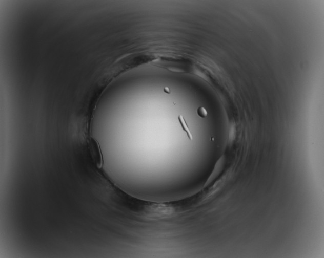 X0000088610421200705251224