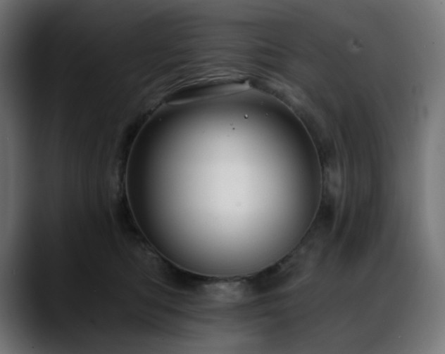 X0000088610422200705251224