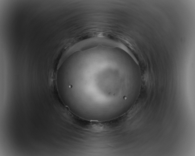 X0000088610423200705251224