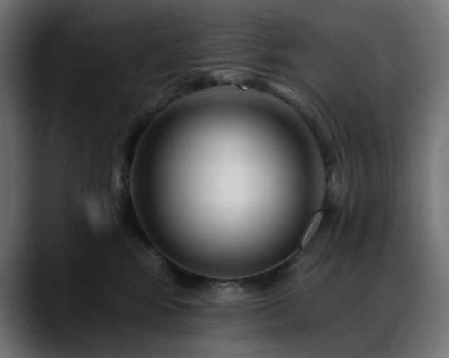 X0000088610424200705251224