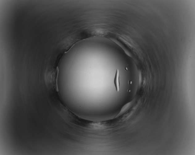 X0000088610425200705251224