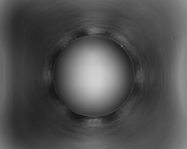 X0000088610426200705251224