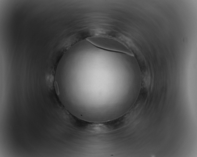 X0000088610427200705251224