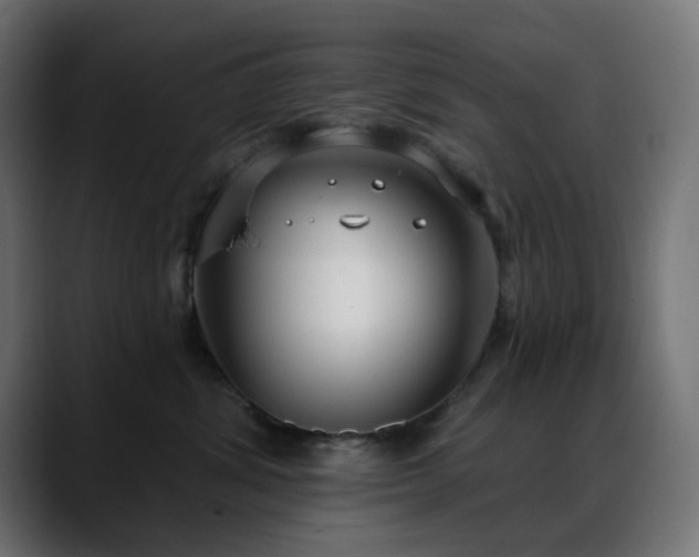 X0000088610428200705251224