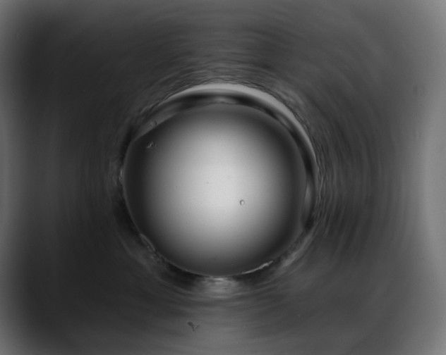 X0000088610429200705251224