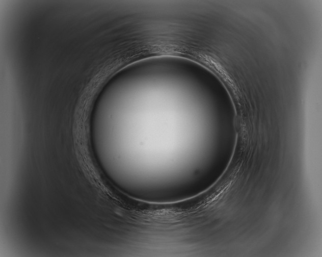 X0000088610433200705251224