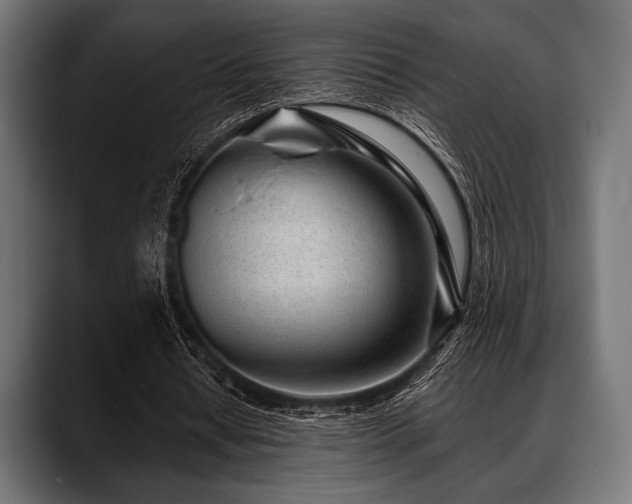 X0000088610434200705251224