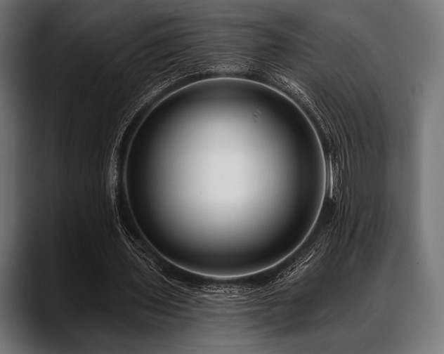 X0000088610435200705251224