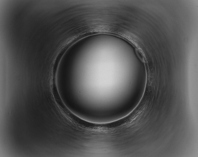 X0000088610437200705251224