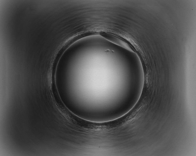 X0000088610438200705251224