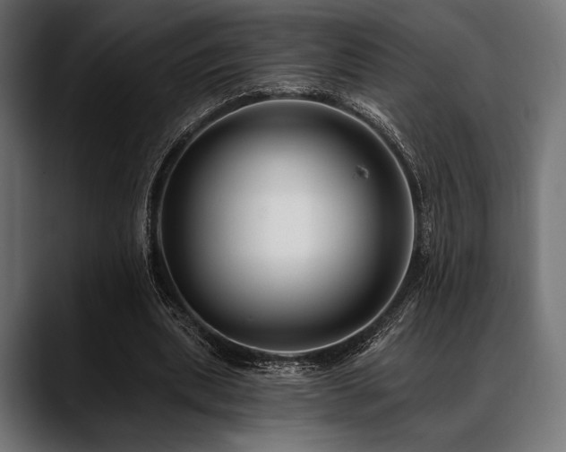 X0000088610439200705251224