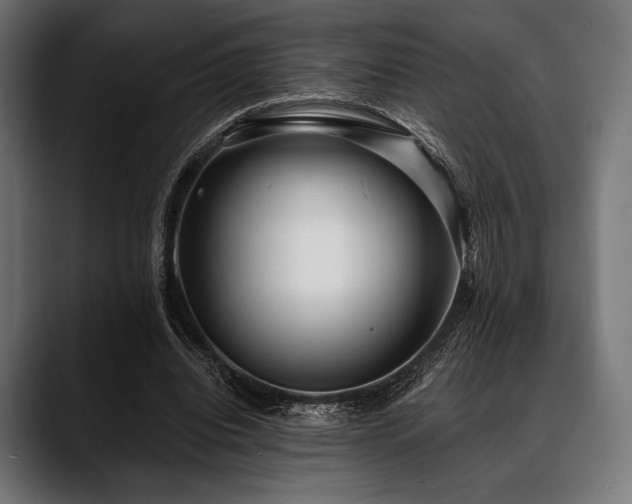 X0000088610440200705251224